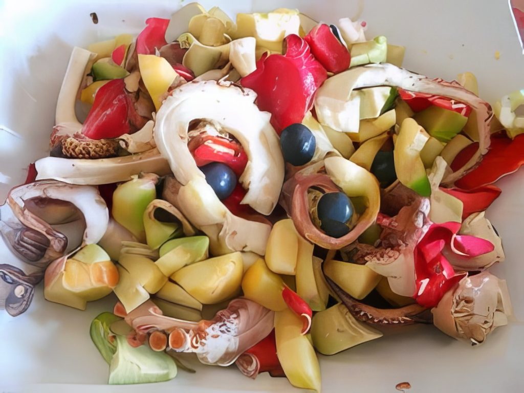 INSALATA DI POLPO,FRUTTA E ROSA SELVATICA